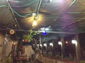 בד מגן צל רשת איכותית לסוכה פתרונות הצללה של ש.ברלינר בתל אביב