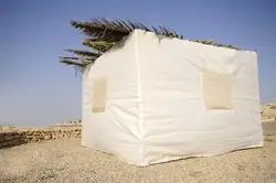 בד סוכה לבן לפי מידה בד 3 על 3 לפי מידה מותאם אישית רשת צל בתל אביב ש.ברלינר פתרונות הצללה